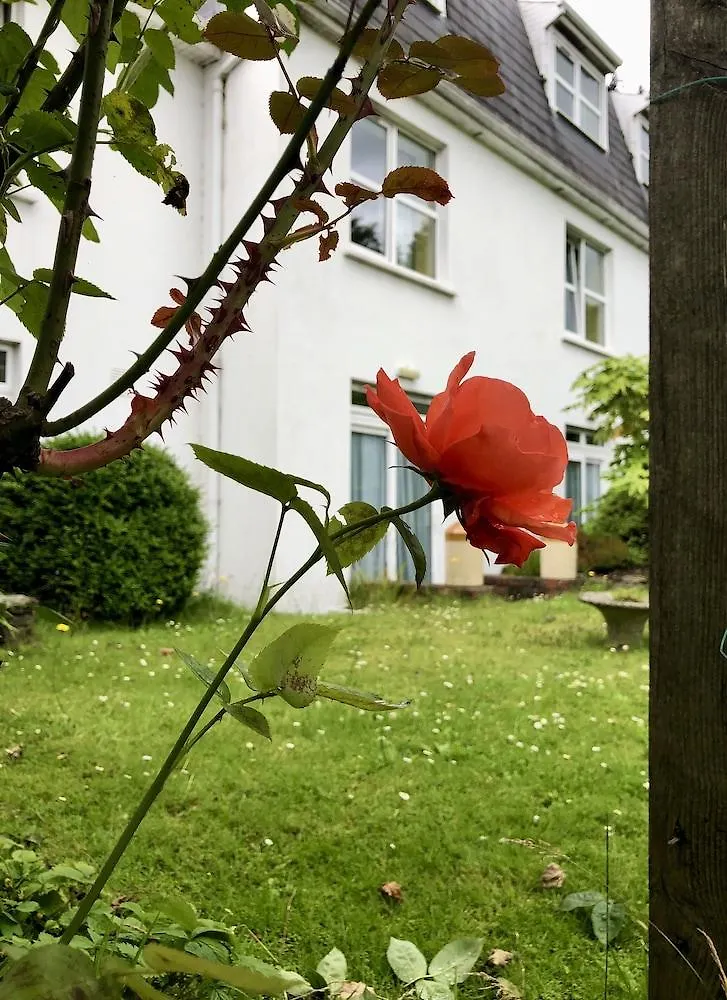 Guest house Belvedere Lodge Cork